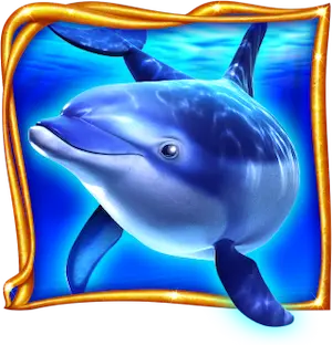 Delfin: Cash Connection Dolphin’s Pearl 